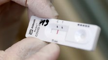Imagem de Testes gratuitos vão chegar às clínicas privadas (áudio)