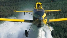 Imagem de Meios aéreos de combate aos incêndios passam nos testes realizados na Madeira