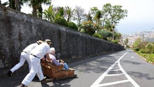 Imagem de Turismo sénior é oportunidade para o destino Madeira