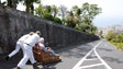 Imagem de Turismo sénior é oportunidade para o destino Madeira
