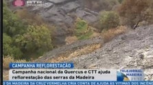 Campanha “Uma árvore pela floresta” chega à Madeira (Vídeo)