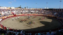 Imagem de Feira Taurina das Sanjoaninas termina com corrida mista