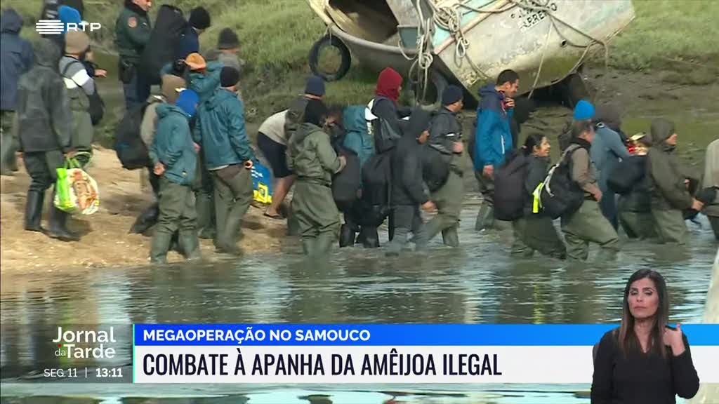 Polícia Marítima realiza operação de combate à apanha ilegal de amêijoa