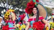Imagem de Grupos preparam Festa da Flor (áudio)