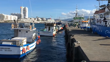 Governo promete rever quotas de pesca (Vídeo)