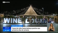 Festa do Vinho Madeira atrai centenas de visitantes (vídeo)