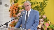 Imagem de Governo Regional cria fundo de apoio aos agricultores (áudio)