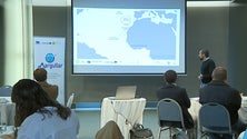 Imagem de Mergulho na rota da Ponta de São Lourenço (vídeo)