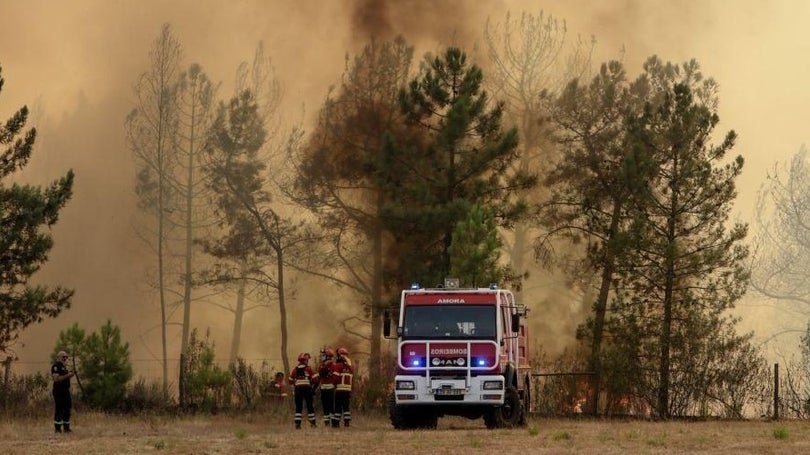 Perímetro do incêndio em Castelo Branco está estabilizado