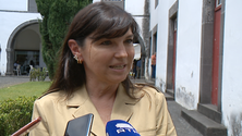 Imagem de Madeira é um exemplo de sustentabilidade (vídeo)