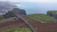 Imagem de Agricultores podem recorrer a compensação global de 180 milhões de euros