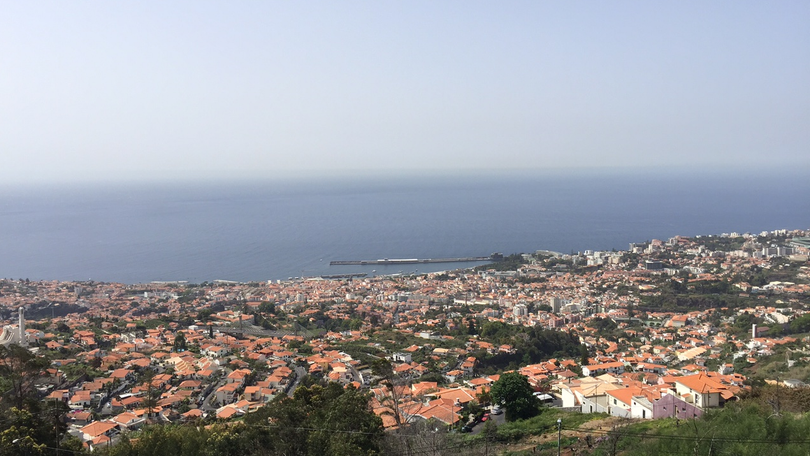 Câmara do Funchal apoia desempregados