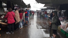 Imagem de Feira do Santo da Serra regressa com mais feirantes