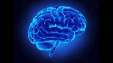 Imagem de Madeira integra estudo nacional sobre habilidades cognitivas