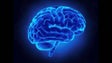 Imagem de Madeira integra estudo nacional sobre habilidades cognitivas