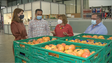 Madeirenses dão 45 toneladas de alimentos (vídeo)