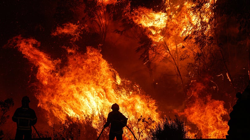 Imagem de Quase 1.000 operacionais combatem fogo em Odemira