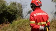 Imagem de Quase três dezenas de concelhos em risco máximo de incêndio