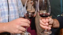 Imagem de Wine in Azores conta com 43 produtores (Vídeo)