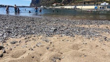 Imagem de Praia da Calheta vai receber uma nova recarga de areia (vídeo)