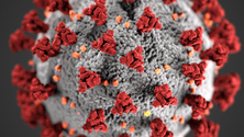 Imagem de Covid-19: Pandemia está a acelerar, mas pode ser combatida
