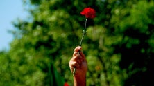 Imagem de Confiança acredita que «os valores de abril estão a ser postos em causa»