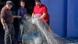 Universidade de Coimbra cria rede de pesca biodegradável