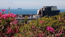Imagem de Carnival Dream passa pela Madeira para deixar tripulante