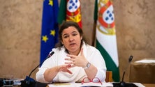 Imagem de Empresas de «outsourcing» obrigadas a cumprir direitos laborais