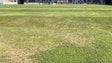 Imagem de Porto reforça relvado «vergonhoso»
