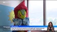 Imagem de Obras de Rodrigo Costa e Teresa Vieira expostas no Hospital Dr. Nélio Mendonça (vídeo)