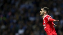 Imagem de Encarnados reforçam liderança no Dragão