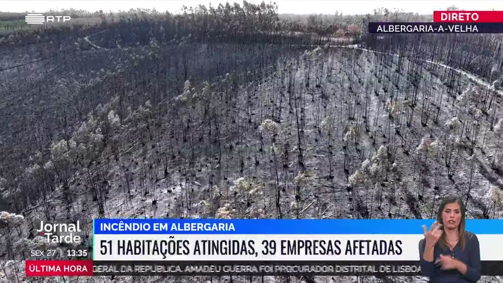 Albergaria-a-Velha entre os concelhos mais afetados pelas chamas