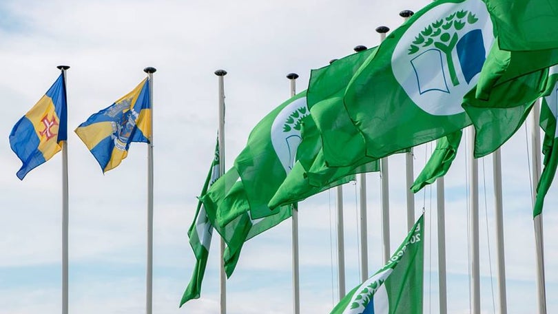 Todas as escolas de Câmara de Lobos vão hastear bandeira verde