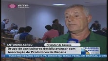 Vai ser criada uma Associação Regional de produtores de banana (Vídeo)