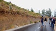 Imagem de Madeira limpa 300 hectares de terreno para evitar incêndios e aluviões