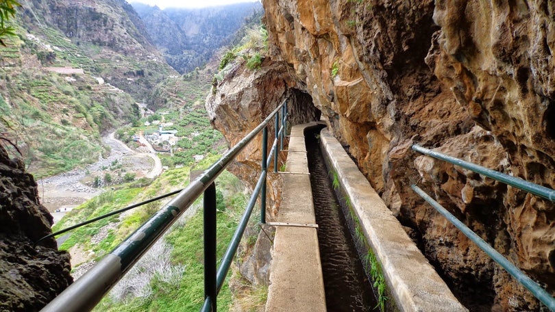 Imagem de Encontrada turista britânica desaparecida ontem na Madeira