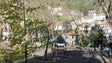 Imagem de “Somos Todos Monte” pede à Câmara do Funchal avaliação às árvores no Largo da Fonte