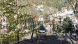 “Somos Todos Monte” pede à Câmara do Funchal avaliação às árvores no Largo da Fonte