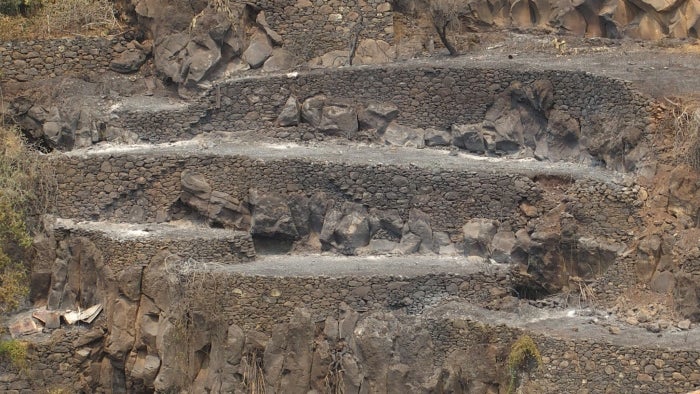 Governo da Madeira cria carreira especial de rocheiro