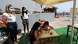 Imagem de Ribeira Brava tem biblioteca na praia (vídeo)