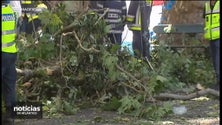 Imagem de Testemunha diz que já tinha enviado várias cartas à autarquia a alertar para o perigo (vídeo)