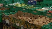 Imagem de Mercados oferecem produtos frescos e de qualidade (vídeo)
