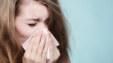 Imagem de Assinala-se esta quarta-feira o Dia Mundial da Alergia (Áudio)
