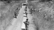 Mais de 30 mil madeirenses foram mobilizados para a “Guerra do Ultramar”