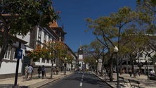 Imagem de Funchal é o município da Madeira com mais casos acompanhados pela Comissão de Proteção de Crianças e Jovens