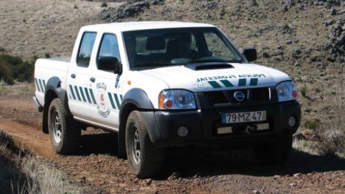 Imagem de Polícia Florestal acaba com «arraial» na serra