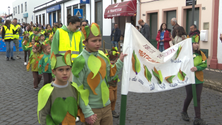 Carnaval: Desfile pelas ruas de Vila do Porto