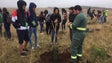 Imagem de Dois mil alunos `plantam` o futuro no Paul da Serra