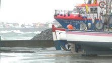 Imagem de PS diz que o setor das Pescas está ao abandono